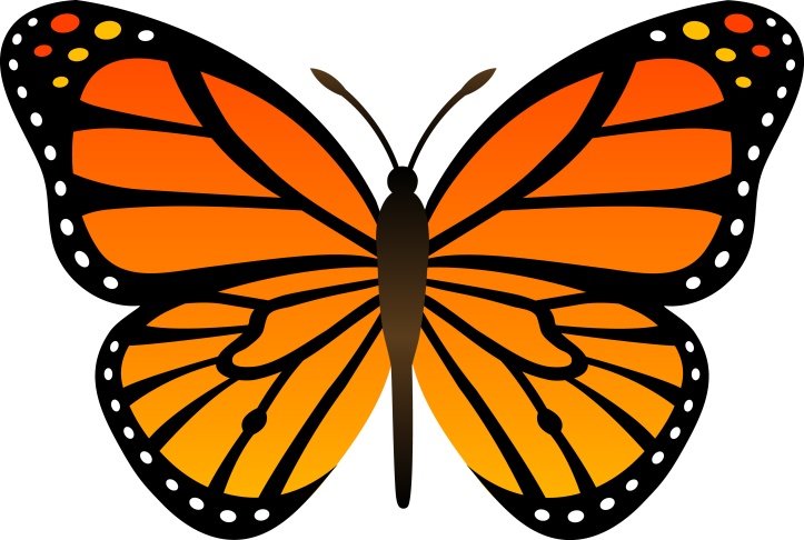 free-google-butterfly-clipart-5